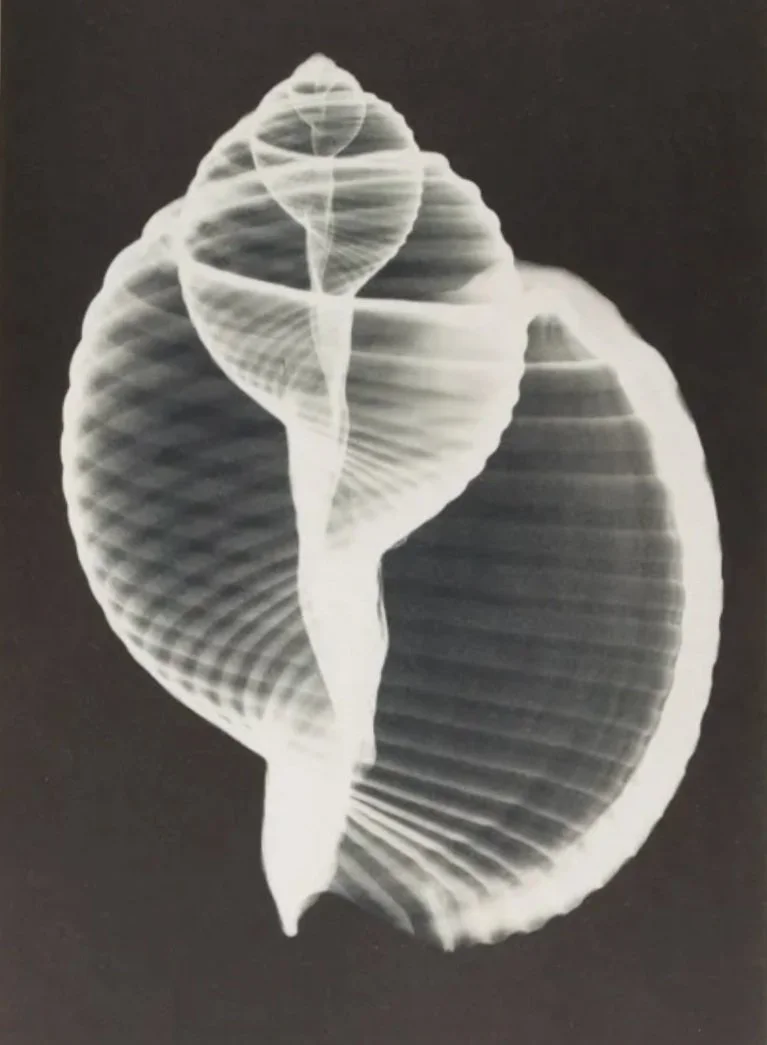 The Cosmic Dance: A Visual Journey from Microcosm to Macrocosm by